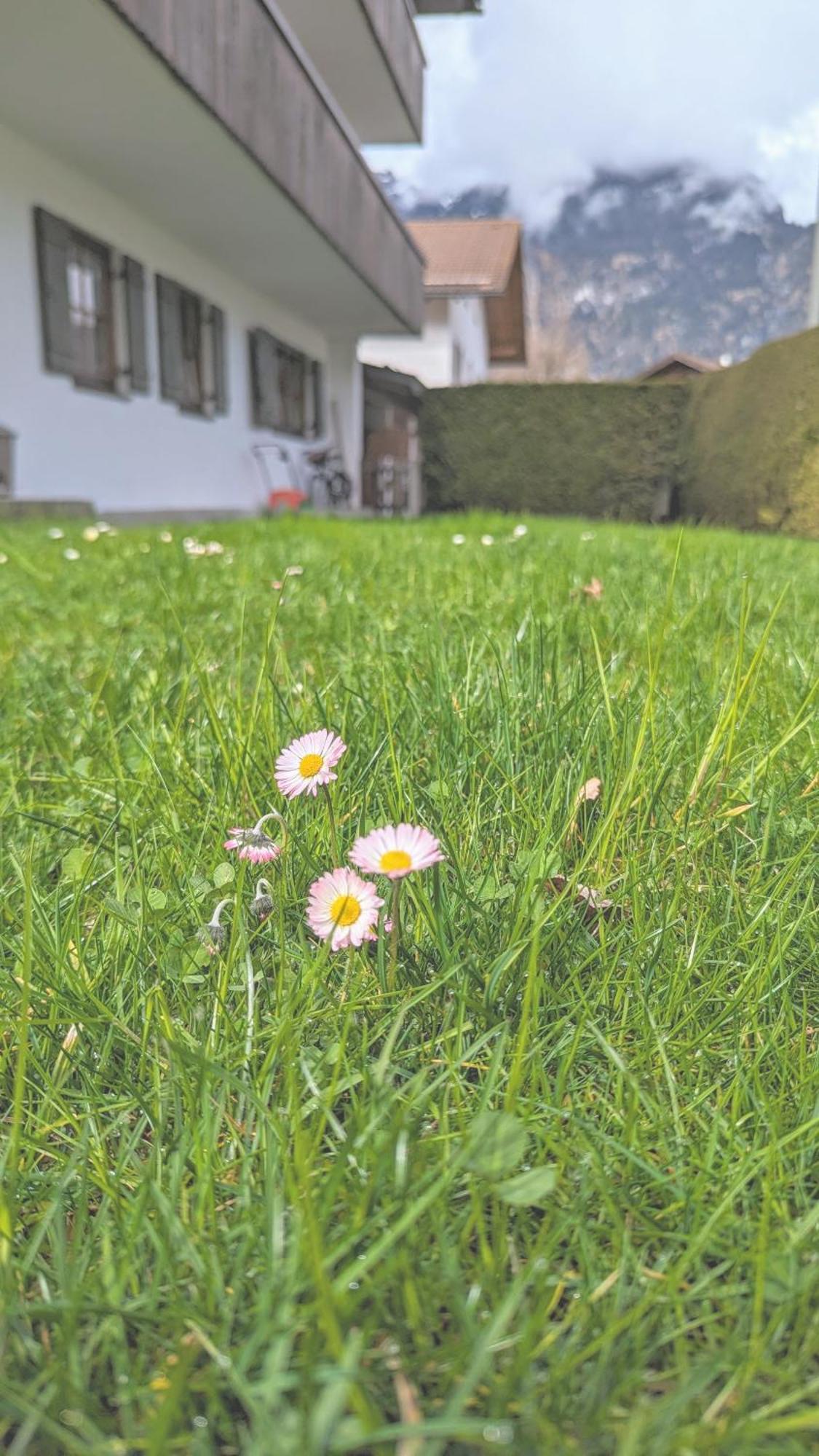 Ferienwohnung Calm Gap Garmisch-Partenkirchen Exterior foto